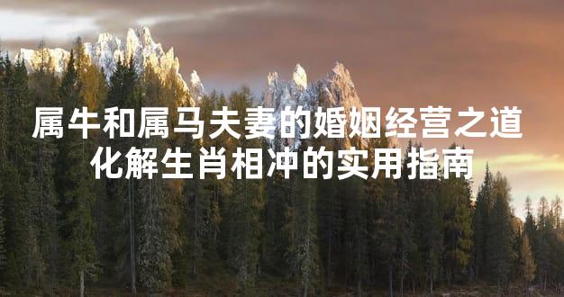 属牛和属马夫妻的婚姻经营之道 化解生肖相冲的实用指南